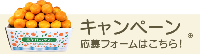 キャンペーンご応募はこちら